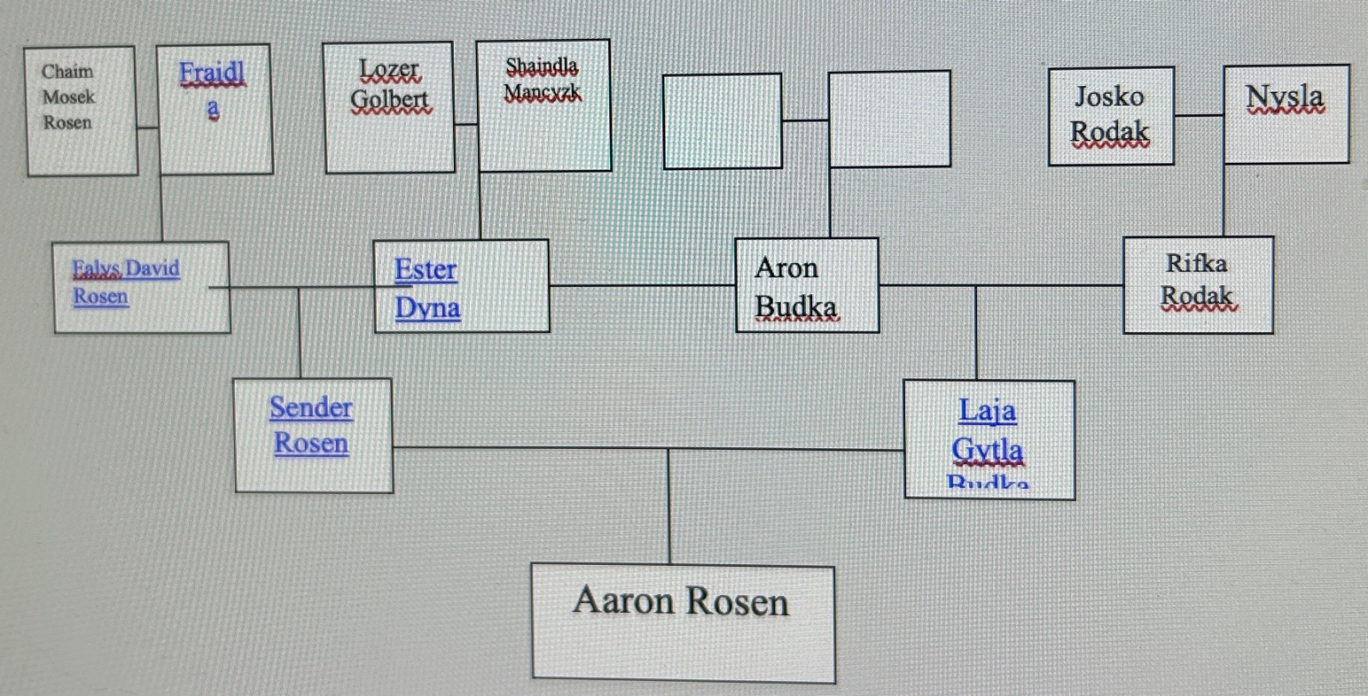 A computer screen shot of a family tree

Description automatically generated