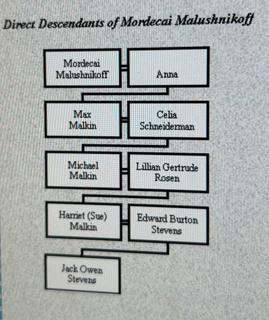 A screen shot of a computer

Description automatically generated