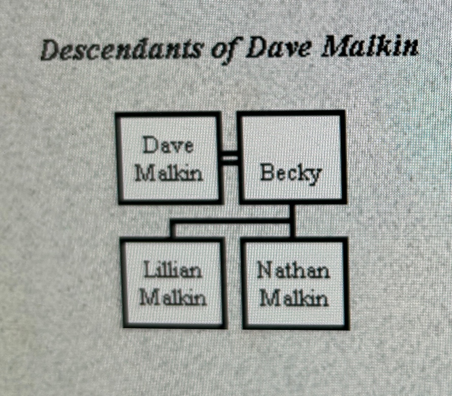 A screenshot of a computer

Description automatically generated