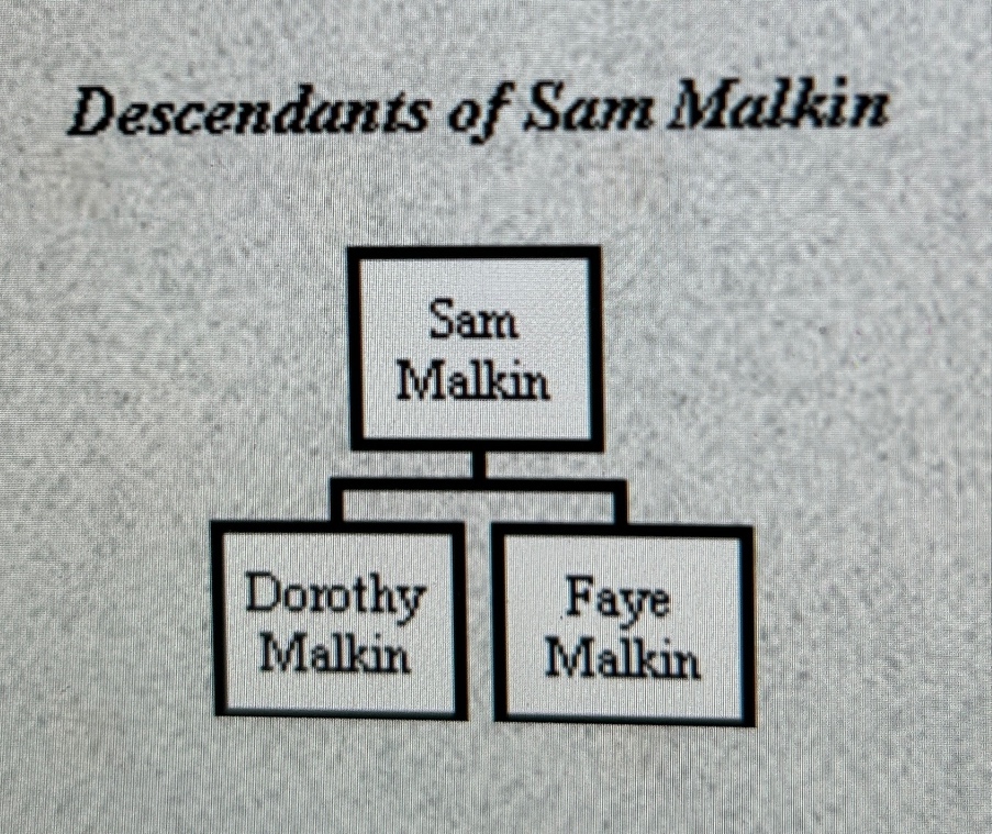A diagram of a family tree

Description automatically generated