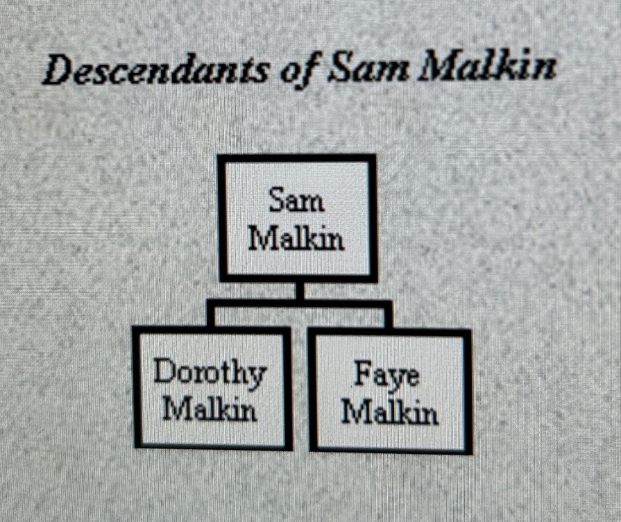 A diagram of a family tree

Description automatically generated
