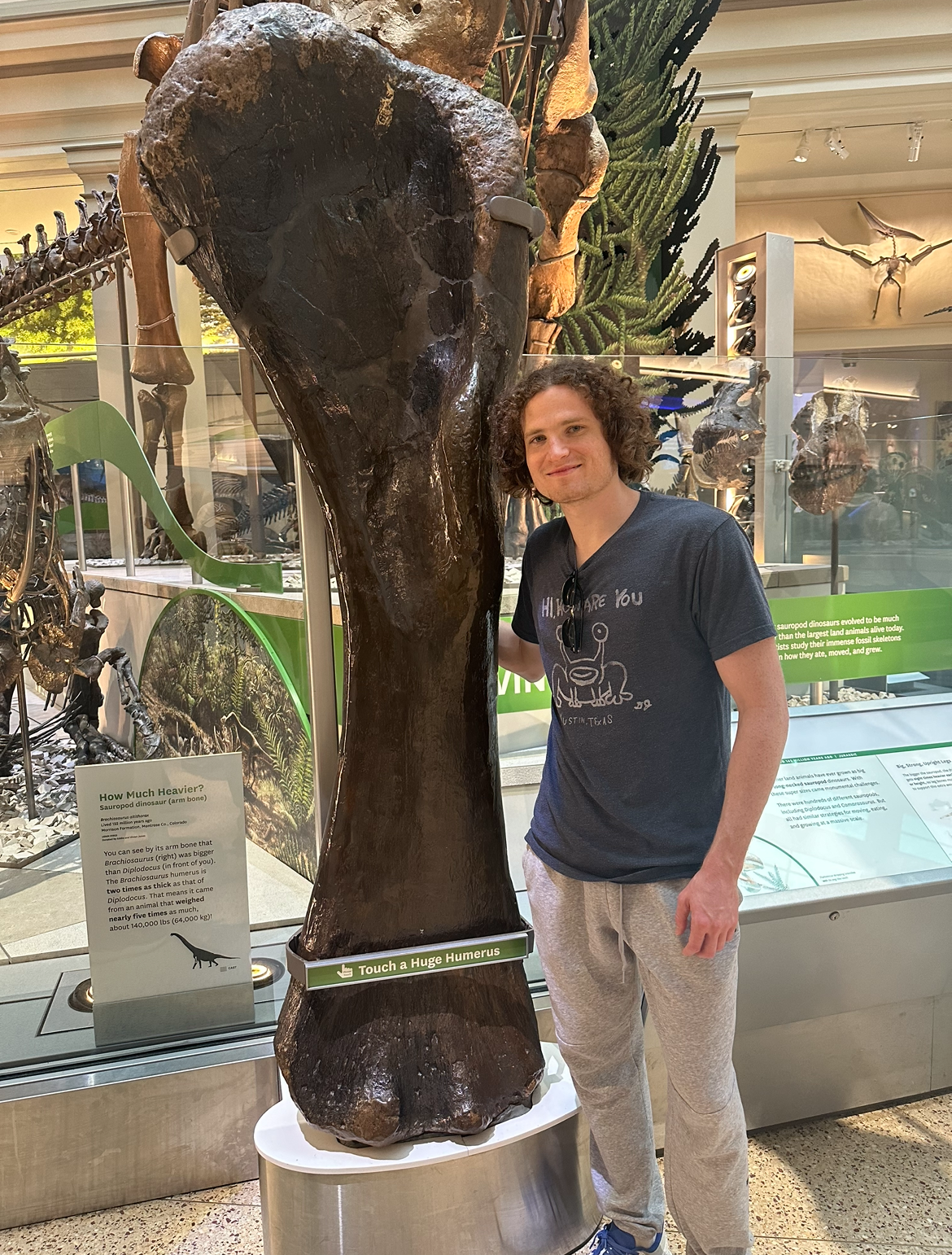 A person standing next to a large dinosaur skeleton

Description automatically generated