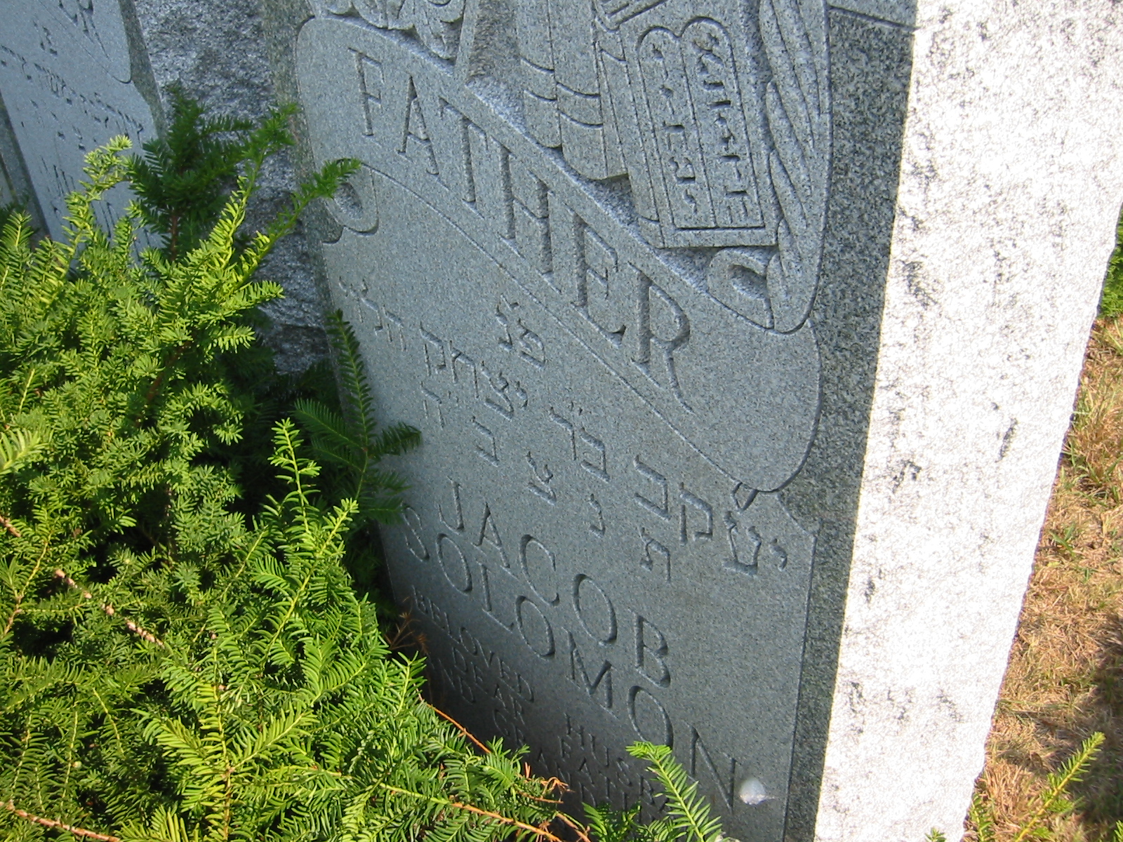 A close-up of a grave stone

Description automatically generated
