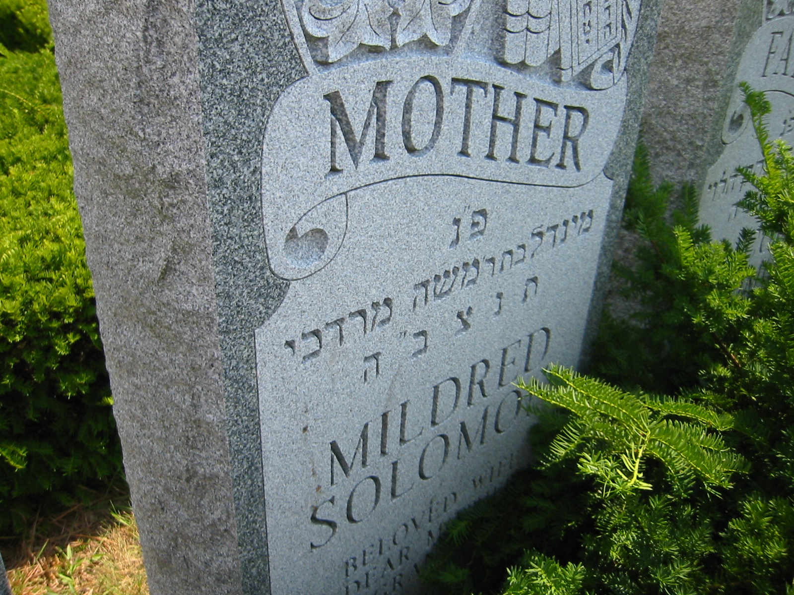 A close-up of a grave stone

Description automatically generated